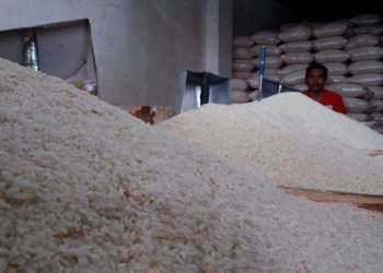 Jangan Tertipu! Ini Cara Membedakan Beras Asli, Palsu, dan Oplosan