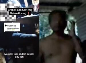 Hari Kucing Sedunia 2024 Diwarnai Penangkapan Lansia Pemakan Kucing
