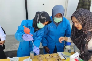 Uji 276 Produk Perikanan Lampung dari Formalin, Begini Hasilnya