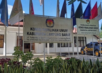 Paslon Pilkada Lambar Bakal Lawan Kotak Kosong