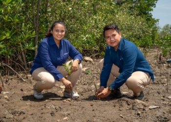 Tanam Kebaikan lewat Mangrove