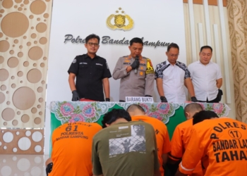 Polresta Bandar Lampung meringkus 5 pengedar narkoba di Bandar Lampung.