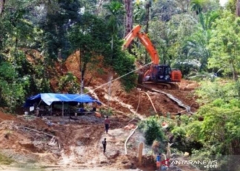 Tambang ilegal. Ilustrasi/Antara Foto
