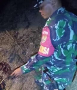 Petani Suoh Tewas Diduga Diterkam Harimau Sumatra
