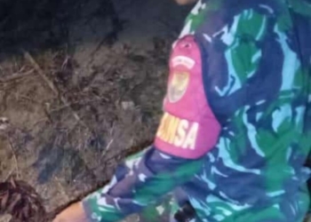 petani suoh diterkam harimau