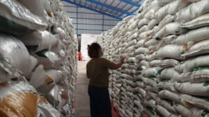 Stok Beras di Gudang Bulog Lampung Capai 49.240 Ton