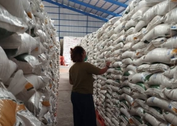 Dinas Pangan Kota Bandar Lampung merilis hasil peta kerentanan pangan di Kota Bandar Lampung.