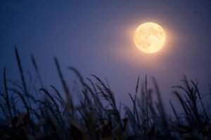 Siap-Siap! Nikmati Super Harvest Moon Malam Ini, Bulan Tampak Lebih Besar dari Biasanya