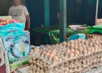 Harga telur kembali naik di pasaran. Dok/Lampost.co