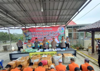 ungkap kasus narkoba polres lamsel