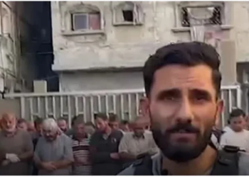 bantuan kemanusiaan di gaza