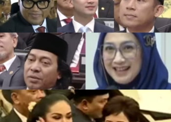 Ini Daftar 24 Selebriti Jadi Anggota DPR RI 2024-2029