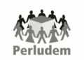 Logo Perkumpulan untuk Pemilu dan Demokrasi (Perludem) FOTO/HO/perludem.org