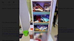 Polisi Tangkap Pembunuh Wanita yang Mayatnya Disimpan di Lemari