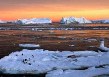 Lapisan es Arktik. Dok Reuters