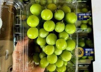 Anggur Shine Muscat. Dok/Marketplace