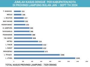 Sebanyak 7.329 Kasus DBD Sepanjang Januari-September 2024 di Lampung