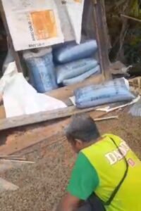 Rumah Warga Pekon Tuguratu Jebol Dirusak Kawanan Gajah Liar