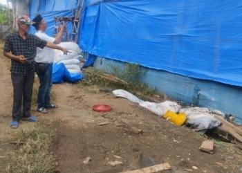 usaha pembesaran ayam di dekat permukiman warga di kota alam