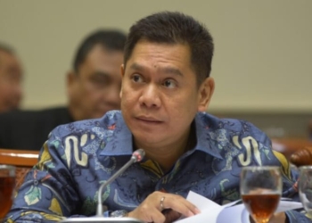 Wakil Ketua DPR Adies Kadir. Dok Fraksi Golkar DPR RI