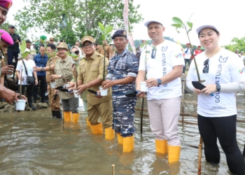Gerakan menanam 20.000 mangrove di Marines Eco Park, Pesawaran, Selasa, 5 November 2024.