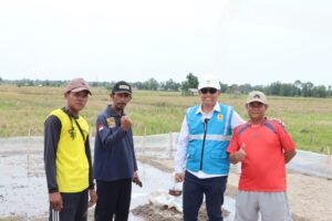 Suparmin Berhasil Wujudkan Ketahanan Pangan di Lampung Selatan Melalui Bantuan PLN Peduli