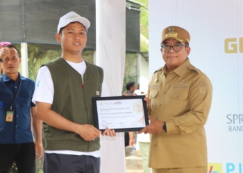 PLN NP UP Tarahan menerima penghargaan dalam kegiatan penanaman 20.000 bibit mangrove.