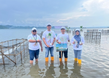 Kegiatan penanaman bibit mangrove oleh PT. Pegadaian di Marines Eco Park, Kabupaten Pesawaran.