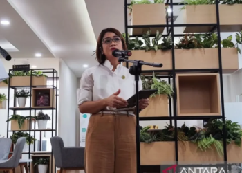 Lapor Mas Wapres. Tenaga Ahli Utama Kantor Komunikasi Kepresidenan (KKK) Prita Laura memberikan keterangan pers yang disampaikan di Gedung Sekretariat Presiden Jakarta, Kamis (14/11/2024). Dok/Antara