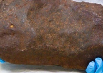 Batu meteor langka. Foto: Museum Victoria