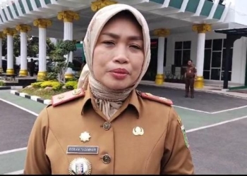 Foto : Kepala Dinas PPPA Provinsi Lampung, Fitrianita Damhuri.