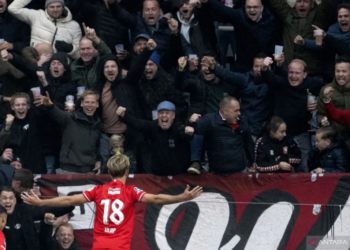 Gelandang FC Twente #18 Michel Vlap