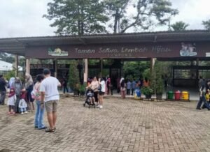 Kunjungan Wisatawan Mulai Meningkat