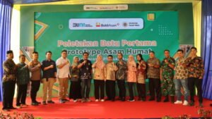 Kolaborasi dengan UGM, Bukit Asam (PTBA) Kembangkan Batu Bara Jadi Asam Humat