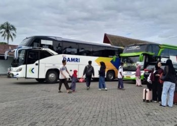 Damri Lampung. Dok/Lampost.co