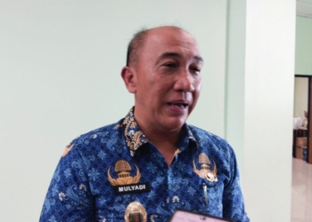 Asisten Asisten II Bidang Perekonomian dan Pembangunan Setda Provinsi Lampung, Mulyadi Irsan. Lampost.co/Atika