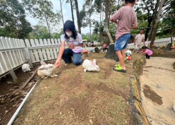 Memberi Makan Satwa Hingga Bermain di Alam Jadi Kelebihan Wisata Edukasi Farmday