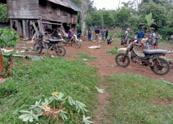 Kawanan gajah liar yang dikenal dengan sebutan "Tim 18" kembali mengamuk di wilayah Kabupaten Tanggamus, Senin, 30 Desember 2024. Dok/Warga