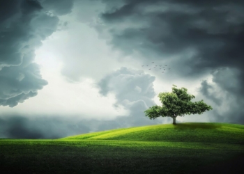 Prakiraan cuaca di Wilayah Provinsi Lampung diperkirakan cerah-berawan.Ilustrasi. (Foto: Pixabay)