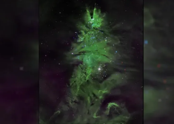 Gugus Bintang NGC 2264