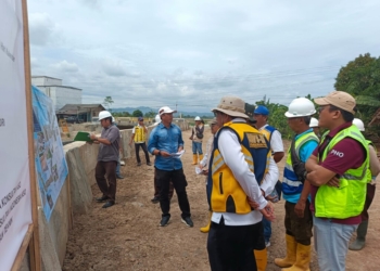 pembangunan pengawalan