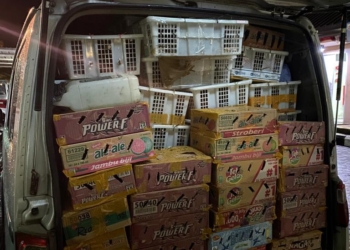 4.354 Burung Ilegal yang Hendak Diselundupkan ke Jawa Digagalkan