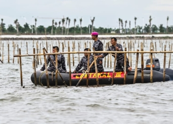 Sejumlah Personel TNI membongkar pagar laut yang terpasang di kawasan pesisir Tanjung Pasir, Kabupaten Tangerang, Banten, Sabtu (18/1/2025).( ANTARA FOTO/Rivan Awal Lingga)