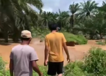 Banjir Lampung Tengah. Tanggul penangkis yang jebol di Kampung Goras Jaya, Kecamatan Bekri, Kabupaten Lampung Tengah. Lampost.co/Raeza Handanny Agustira