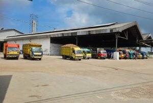PT. Budi Starch and Sweetener Kembali Beroperasi usai Kementan Tetapkan Harga Singkong
