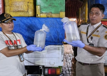 Petugas Balai Karantina Lampung menahan kendaraan yang membawa benur udang windu ilegal, Minggu, 16 Februari 2025. Dok Balai.