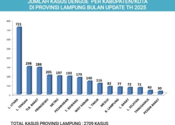 Grafik kasus DBD di Provinsi Lampung 2025. Dok. Dinkes