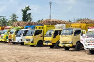 Harga Penerimaan Singkong Tanpa Rafaksi dengan Minimal Kadar Aci 24 Persen oleh Perusahaan Tapioka di Lampung Jadi Win-Win Solution