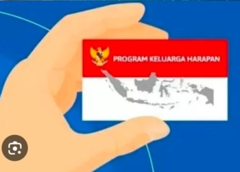 Ilustrasi PKH. // Dok Google