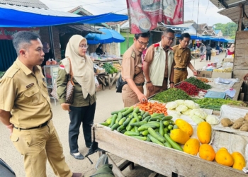 Dinas ketahanan pangan saat melakukan pemantauan harga dan stok pangan di Pasar Tradisional Pesawaran.